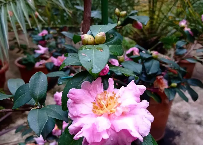 Apartment Appartament Casavintage *